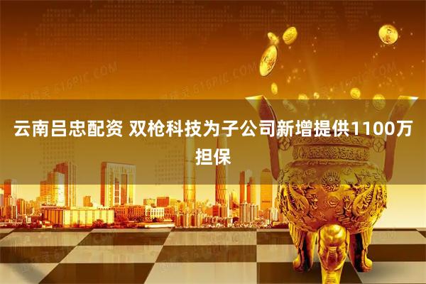 云南吕忠配资 双枪科技为子公司新增提供1100万担保